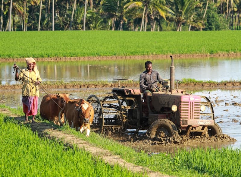 Agricultural field and farming operations